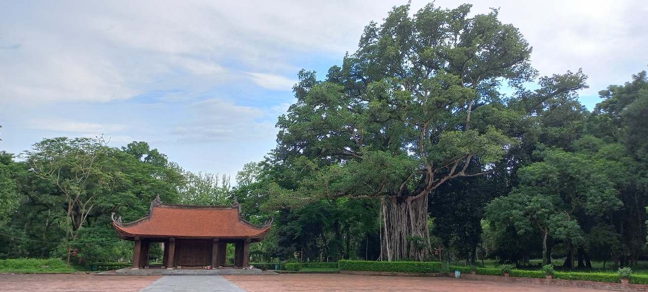 Ngọ Môn và cây đa cổ ở Khu di tích Lam Kinh, Thanh Hóa