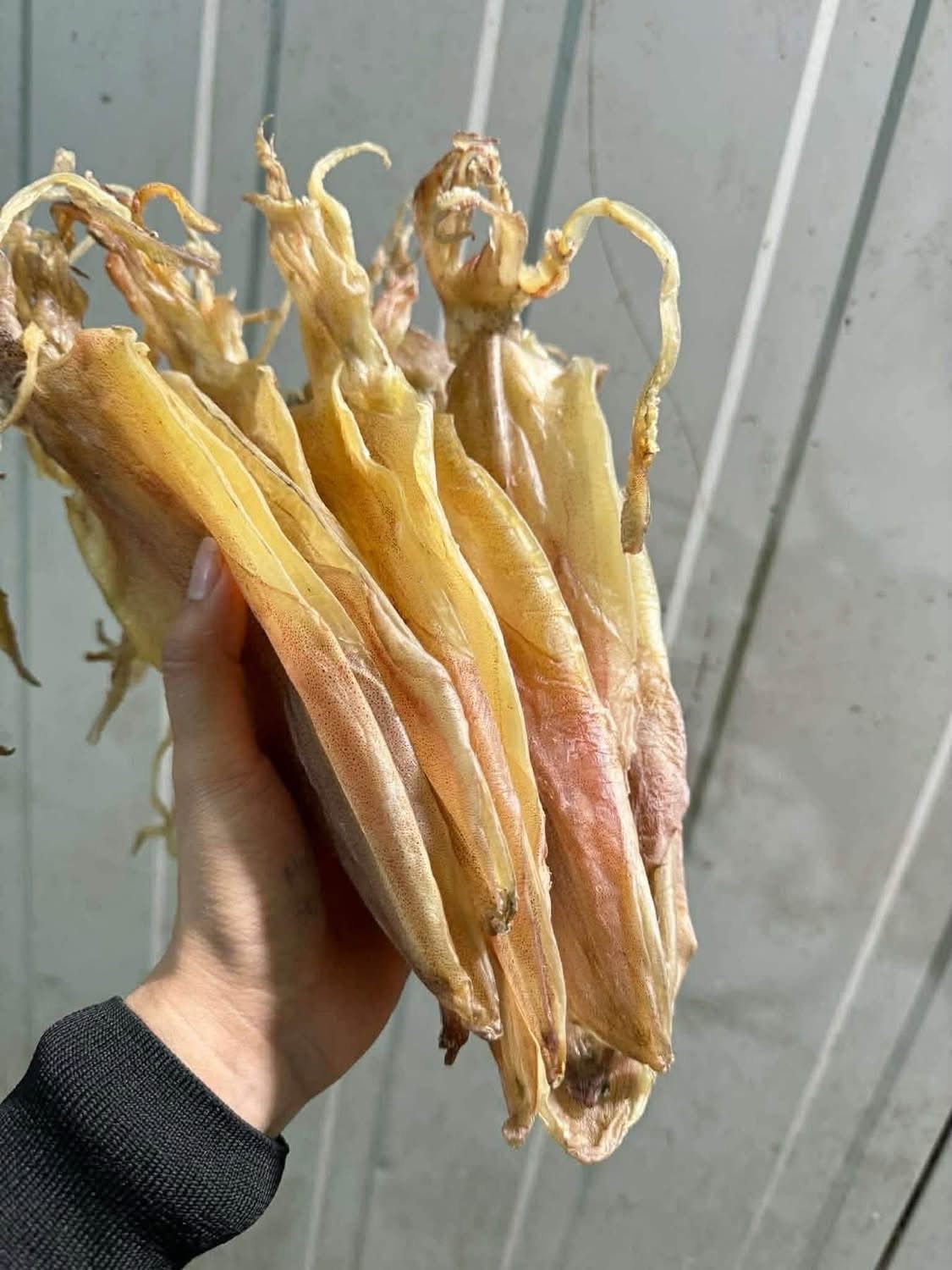 Bó mực khô cầm trên tay
